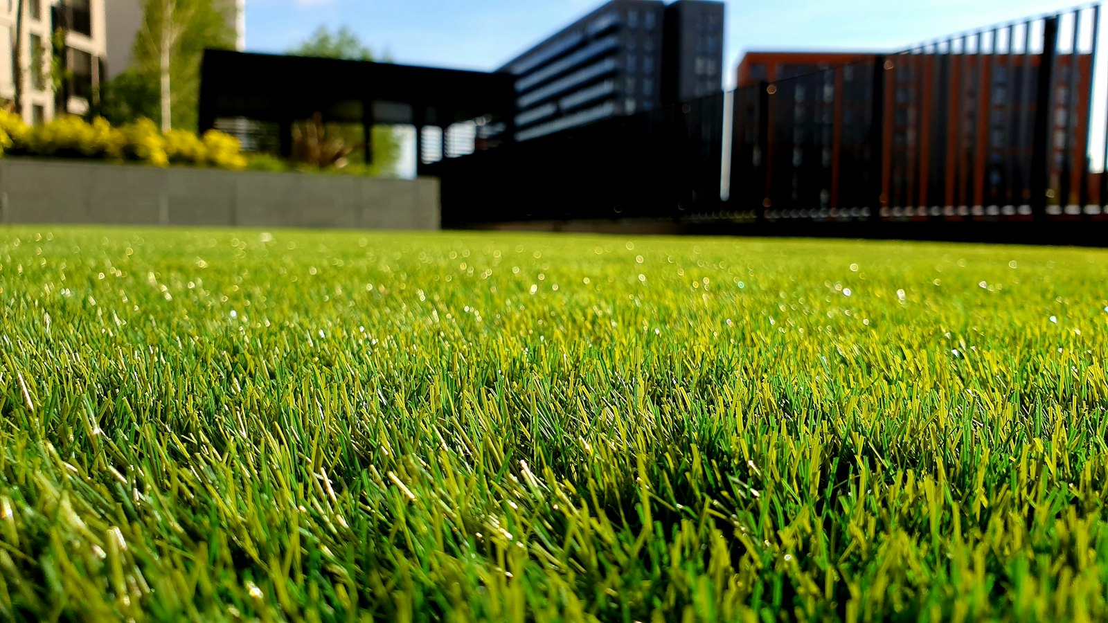 Garden pathway - stock